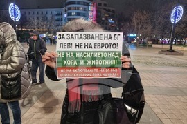 Русе - протест срещу еврото