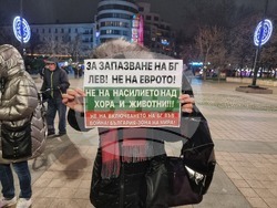 Русе - протест срещу еврото
