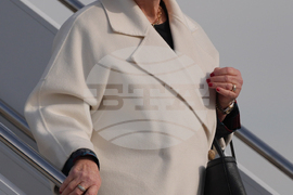 Trump Casualty Return