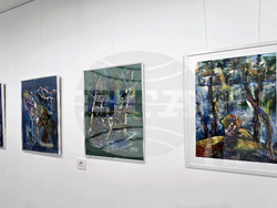 Гоце Делчев - изложба - Николай Маринов