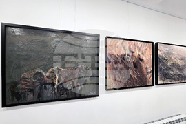 Гоце Делчев - изложба - Николай Маринов