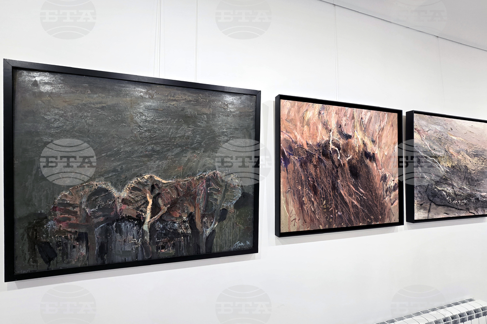 Гоце Делчев - изложба - Николай Маринов