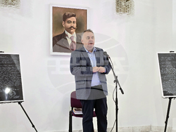 Гоце Делчев - изложба - Николай Маринов