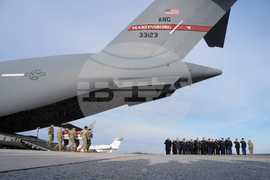 Trump Casualty Return