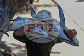 Venezuela Daily Life