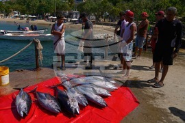 Venezuela Daily Life