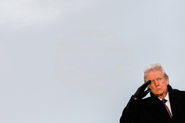 Trump Casualty Return