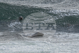 Scotland Curling Photo Essay