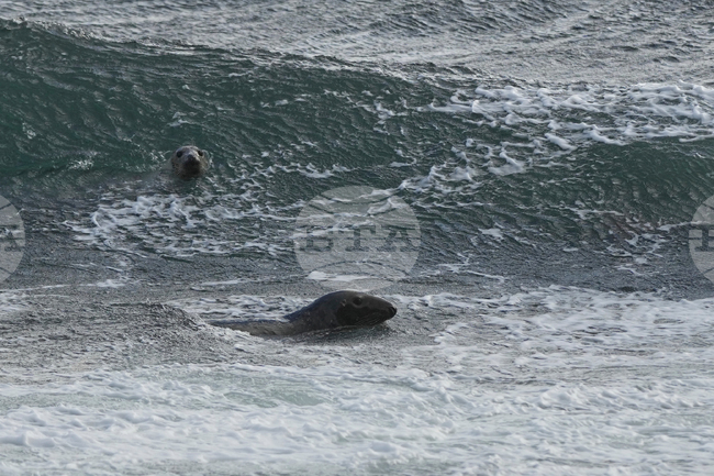 Scotland Curling Photo Essay