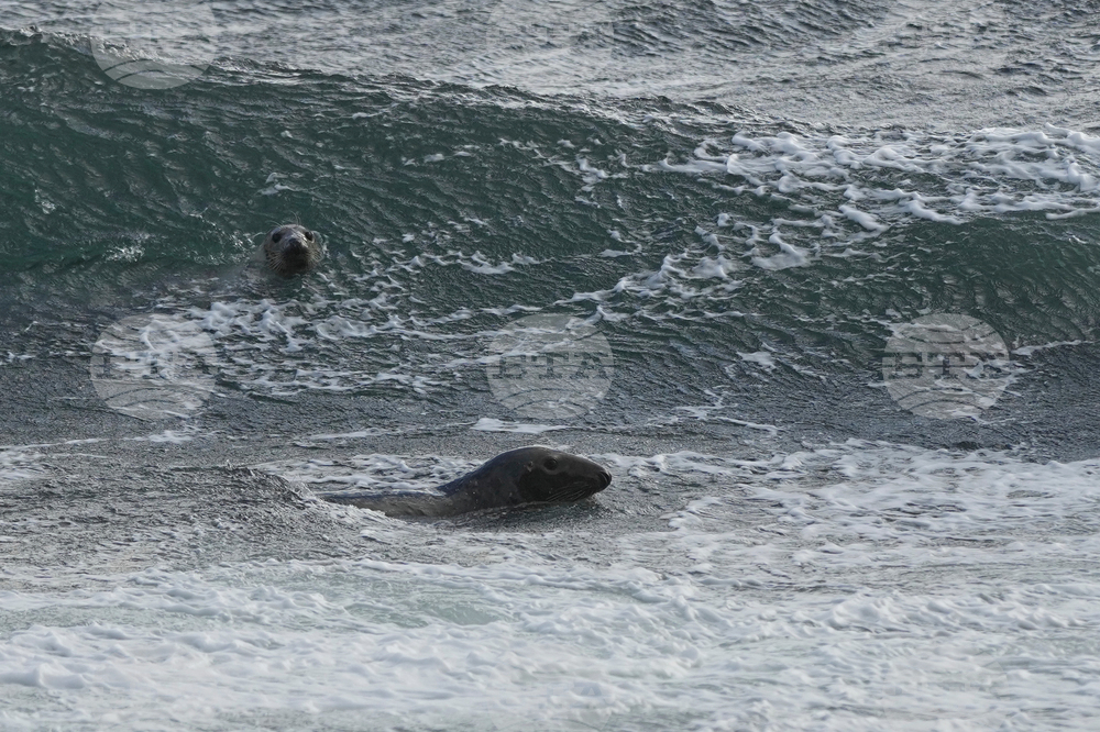 Scotland Curling Photo Essay