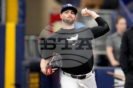 Rays McClanahan Baseball