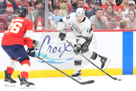 Kings Panthers Hockey