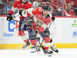 Kings Panthers Hockey