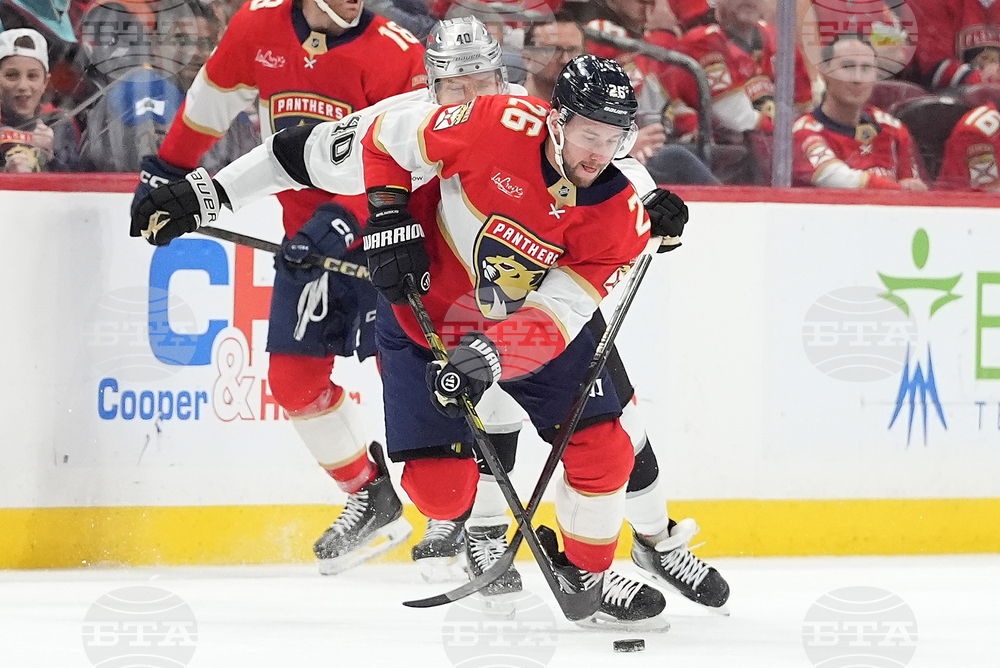 Kings Panthers Hockey