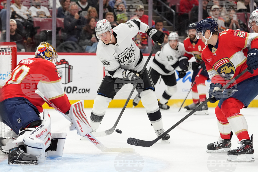 Kings Panthers Hockey