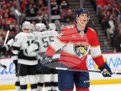 Kings Panthers Hockey