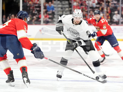 Kings Panthers Hockey