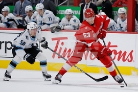 Mammoth Red Wings Hockey