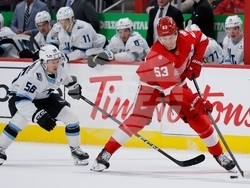 Mammoth Red Wings Hockey