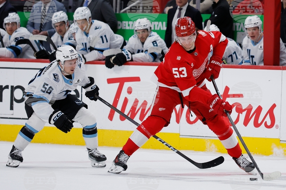 Mammoth Red Wings Hockey