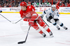 Mammoth Red Wings Hockey