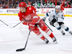 Mammoth Red Wings Hockey