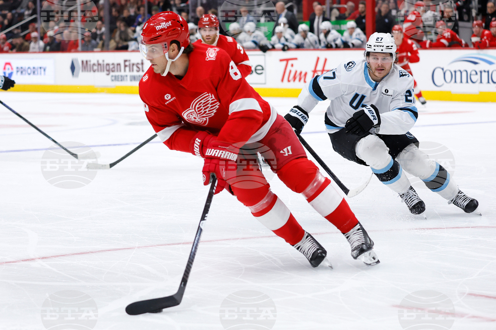 Mammoth Red Wings Hockey