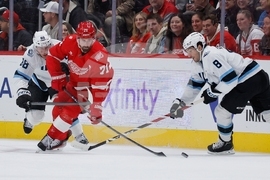 Mammoth Red Wings Hockey