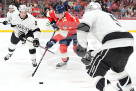 Kings Panthers Hockey