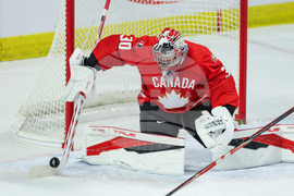 Sweden Canada Hockey