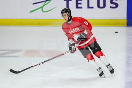 Sweden Canada Hockey