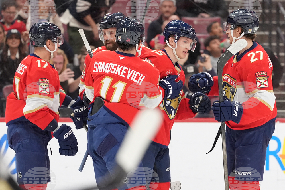 Kings Panthers Hockey