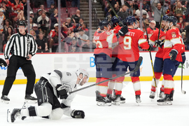 Kings Panthers Hockey