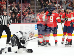 Kings Panthers Hockey