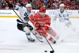 Mammoth Red Wings Hockey