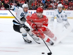 Mammoth Red Wings Hockey