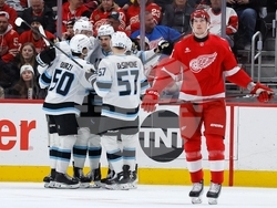 Mammoth Red Wings Hockey