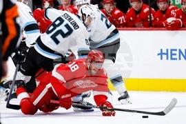 Mammoth Red Wings Hockey