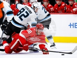 Mammoth Red Wings Hockey