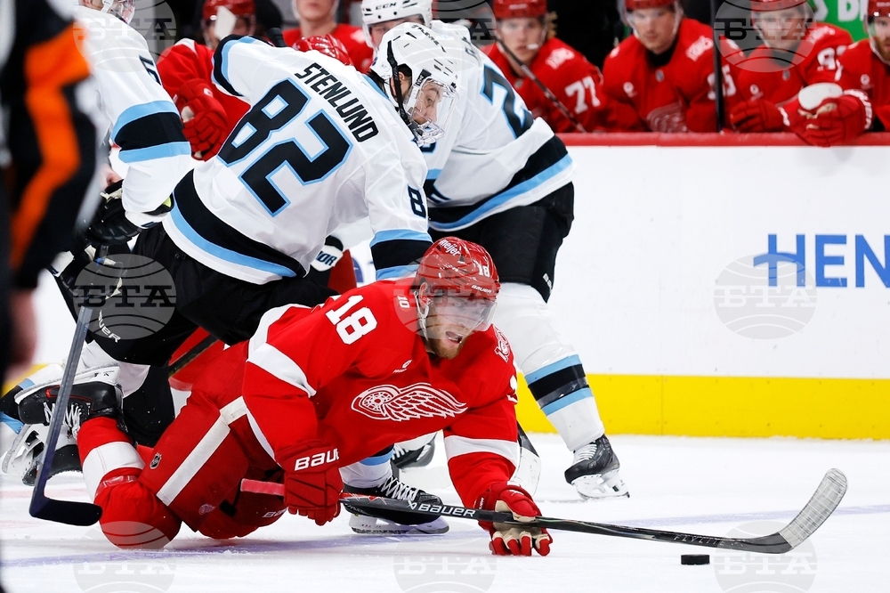 Mammoth Red Wings Hockey