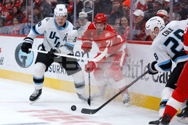 Mammoth Red Wings Hockey