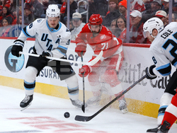 Mammoth Red Wings Hockey