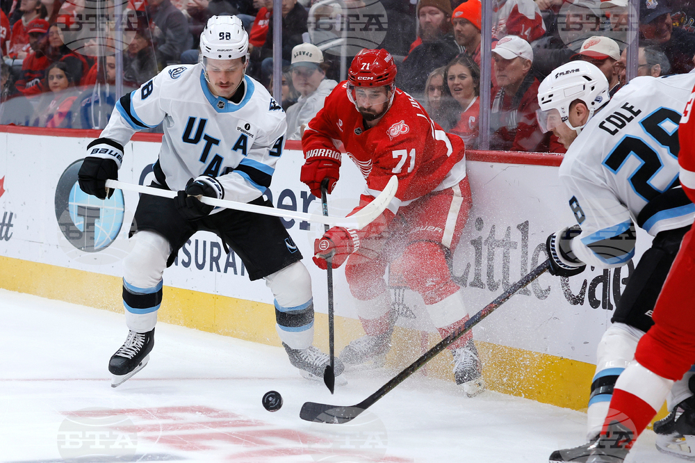 Mammoth Red Wings Hockey