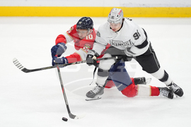 Kings Panthers Hockey