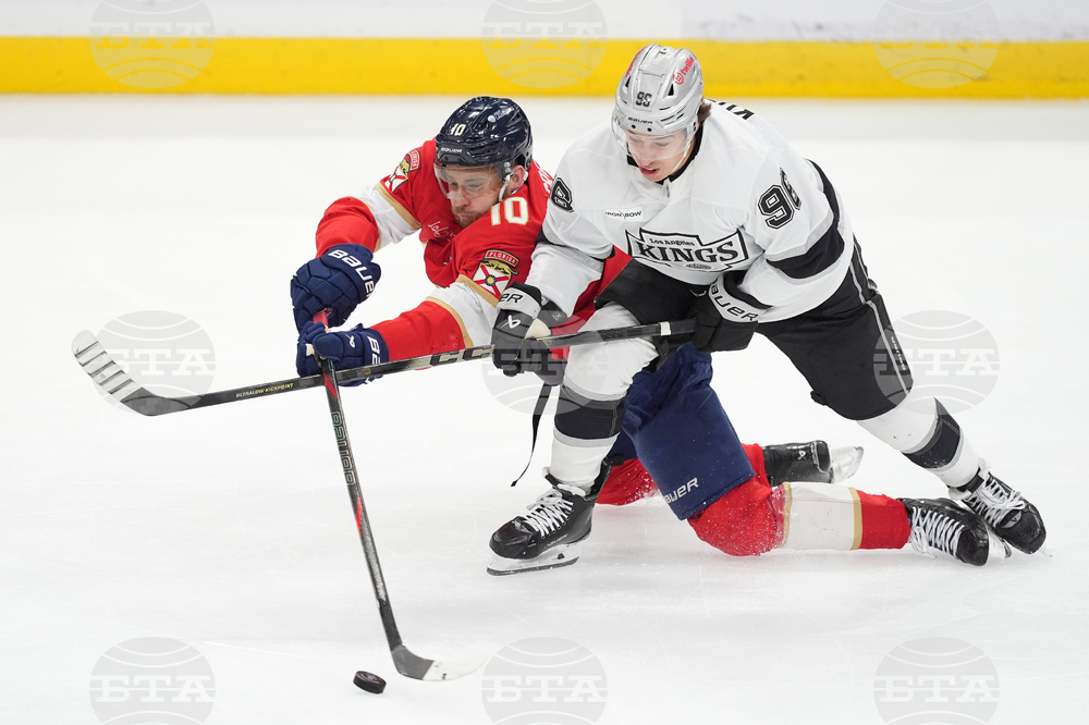 Kings Panthers Hockey