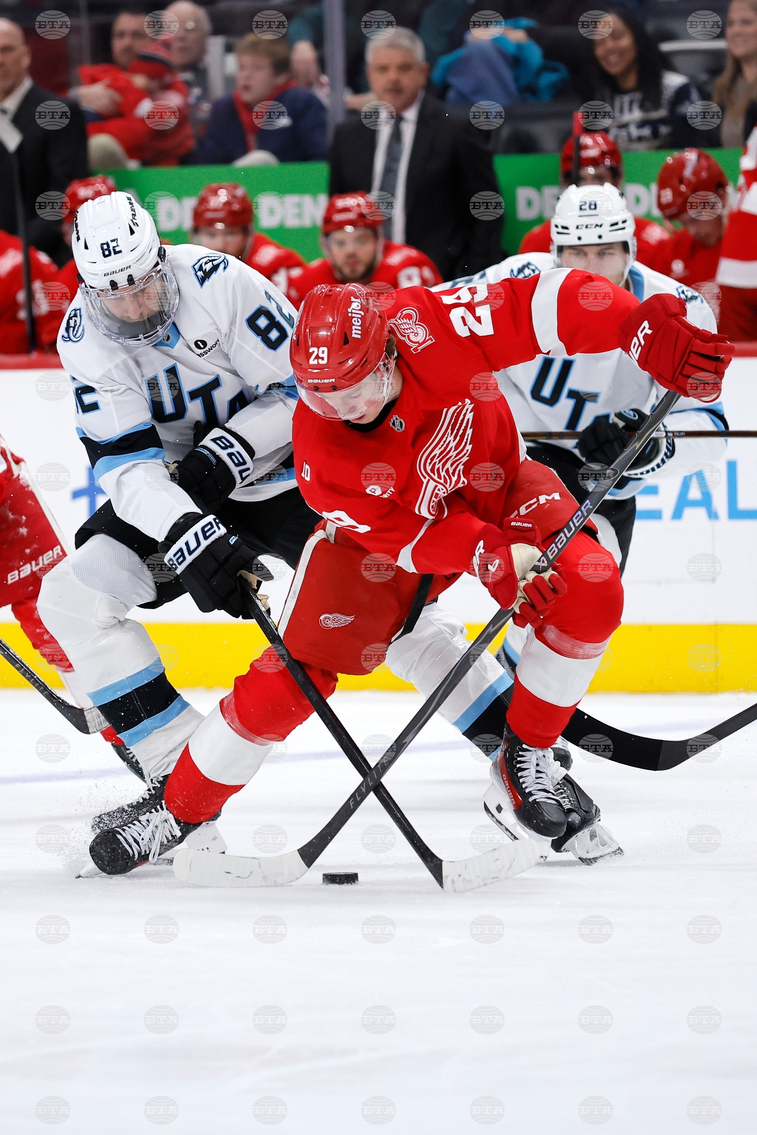 Mammoth Red Wings Hockey