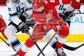 Mammoth Red Wings Hockey