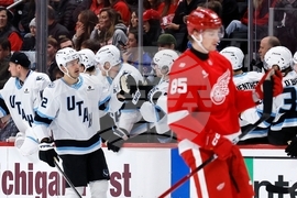 Mammoth Red Wings Hockey