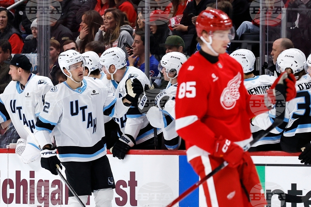 Mammoth Red Wings Hockey