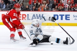 Mammoth Red Wings Hockey